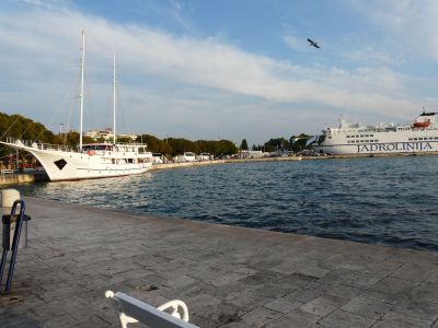 P1180581.JPG