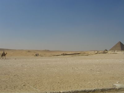 CIMG8499.JPG