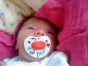 DSC00236.JPG