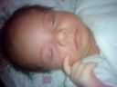 Dateiname=DSC00377.JPG
Dateigröße=677KB
Abmessungen: 2048x1536
hinzugefügt am: 01. Dezember 2015 DSC00377.JPG