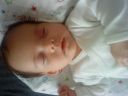 Dateiname=DSC00511.JPG
Dateigröße=585KB
Abmessungen: 2048x1536
hinzugefügt am: 01. Dezember 2015 DSC00511.JPG