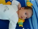 Dateiname=DSC00520.JPG
Dateigröße=587KB
Abmessungen: 2048x1536
hinzugefügt am: 01. Dezember 2015 DSC00520.JPG