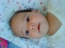 Dateiname=DSC00721.JPG
Dateigröße=481KB
Abmessungen: 2048x1536
hinzugefügt am: 01. Dezember 2015 DSC00721.JPG