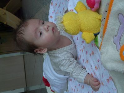 P1140866.JPG
