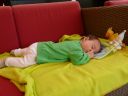 Dateiname=P1150268.JPG
Dateigröße=421KB
Abmessungen: 2048x1536
hinzugefügt am: 01. Dezember 2015 P1150268.JPG