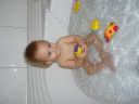 Dateiname=P1190563.JPG
Dateigröße=220KB
Abmessungen: 2048x1536
hinzugefügt am: 01. Dezember 2015 P1190563.JPG