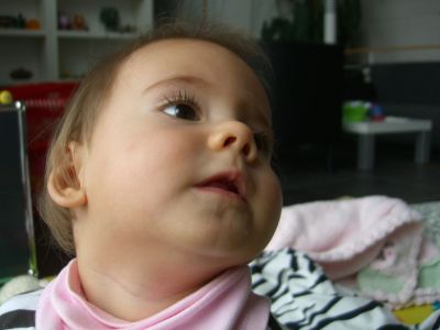 CIMG0378.JPG