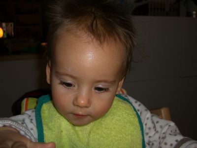 CIMG0510.JPG
