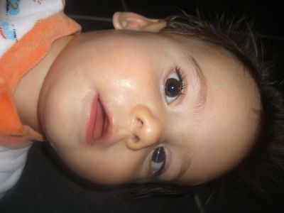CIMG0801.JPG