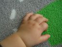 CIMG0358.JPG
