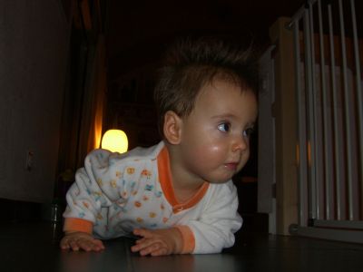 CIMG0784.JPG