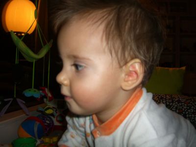 CIMG0834.JPG