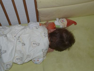 P1200390.JPG