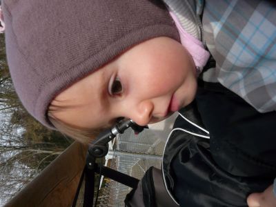 P1220166.JPG