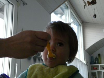 P1220392.JPG