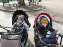 Dateiname=P1220168.JPG
Dateigröße=539KB
Abmessungen: 2048x1536
hinzugefügt am: 01. Dezember 2015 P1220168.JPG