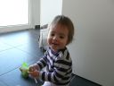 Dateiname=P1220219.JPG
Dateigröße=279KB
Abmessungen: 2048x1536
hinzugefügt am: 01. Dezember 2015 P1220219.JPG