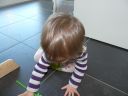 Dateiname=P1220220.JPG
Dateigröße=271KB
Abmessungen: 2048x1536
hinzugefügt am: 01. Dezember 2015 P1220220.JPG