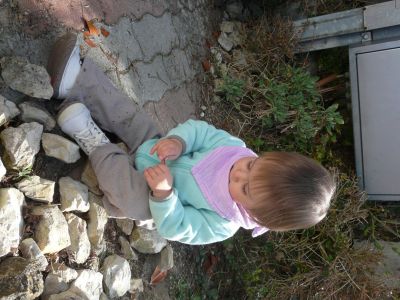 P1220447.JPG