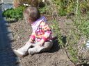 Dateiname=P1220499.JPG
Dateigröße=851KB
Abmessungen: 2048x1536
hinzugefügt am: 01. Dezember 2015 P1220499.JPG