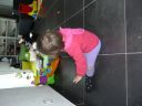Dateiname=P1220812.JPG
Dateigröße=299KB
Abmessungen: 2048x1536
hinzugefügt am: 01. Dezember 2015 P1220812.JPG