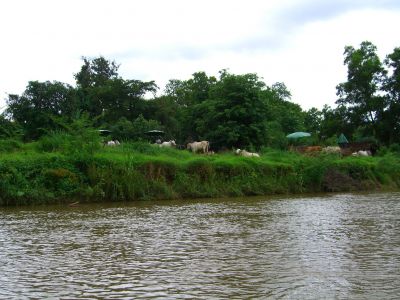 cimg3662.jpg