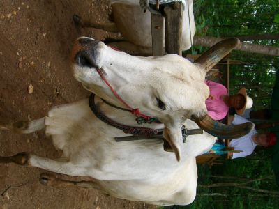 cimg3687.jpg