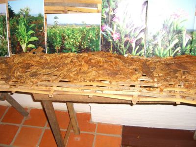 cimg3894.jpg