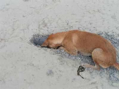 PICT0020_001.JPG