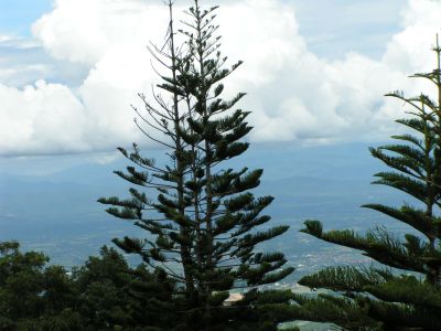 PICT0034.JPG