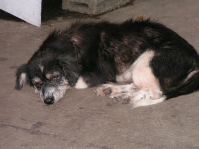 PICT0057.JPG