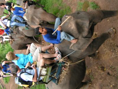 PICT0080.JPG