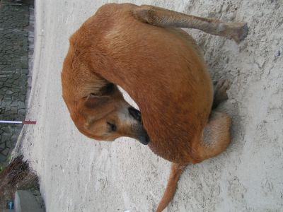 PICT0080_001.JPG