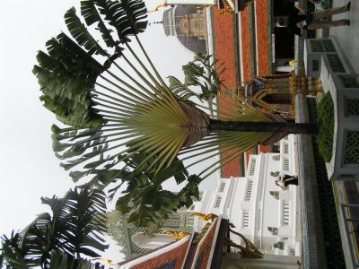 PICT0121_002.JPG