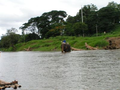 PICT0143.JPG