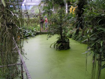 PICT0184.JPG