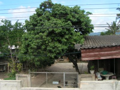 PICT0248.JPG