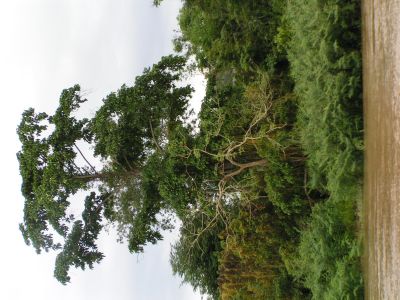PICT0330.JPG