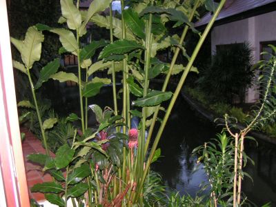 PICT0414.JPG