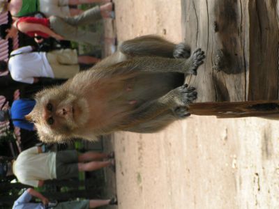 PICT0562_001.JPG