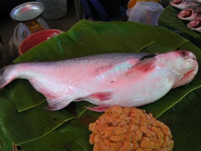 PICT0617.JPG