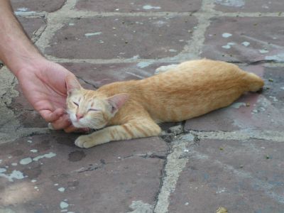 PICT0740.JPG