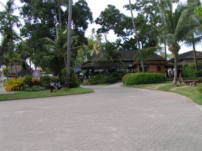 PICT0913.JPG