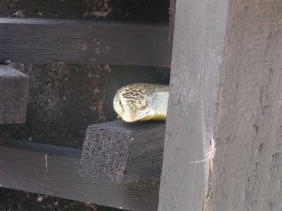 PICT0970.JPG