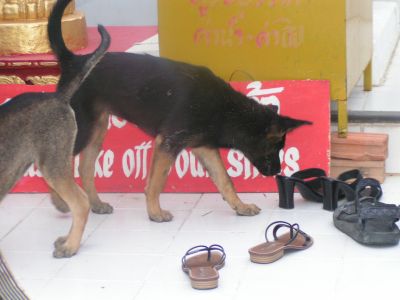 PICT1050.JPG