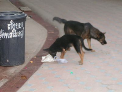 PICT1056.JPG