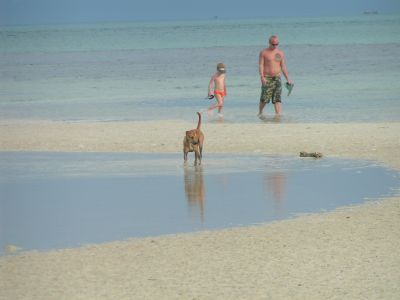 PICT1163.JPG