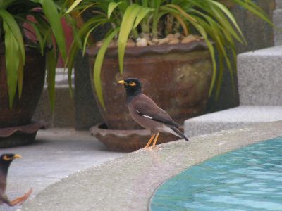 PICT1185.JPG