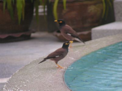 PICT1186.JPG