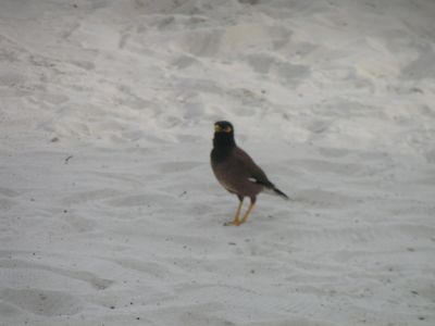 PICT1197.JPG